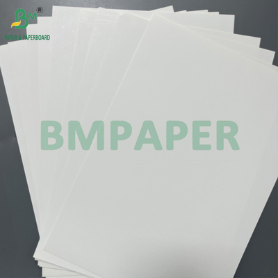 Eenzijdig, tweezijdig, gecoate witte 120 180 micron thermisch synthetische papierrol