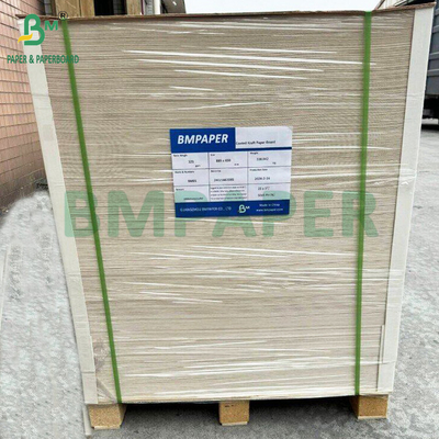 350 gm CKB Wit oppervlak Bruin Kraft Back Paper voor Saladdozen 25' x 38'