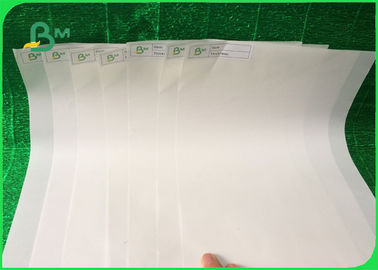 Gerecycleerd Degardable-PE Met een laag bedekt Document 100um 120g Synthetisch Steendocument voor Regenjas
