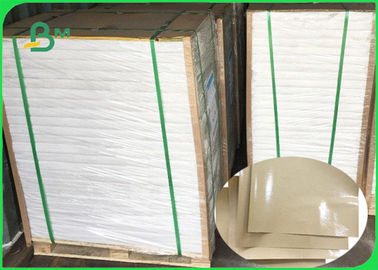 Document van de Veiligheids Verhitbare PE Met een laag bedekte Kraftpapier van MG 30/35/40gsm het Groene voor Verpakking