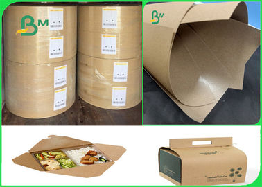 160g+10g PE van de voedselrang het Milieuvriendelijke document van kraftpapier voor voedselzak