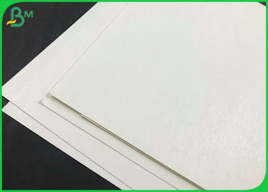 De Steen PLA van de voedselrang &amp; PE bedekten wit kraftpapier-Kopdocument voor biologisch afbreekbare document kop met een laag