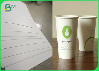 Het volledig Vernieuwbare Cupstock-Document rolt Met een laag bedekt Polyethyleen 180g + 10gsm