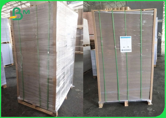 2mm Clay Coated Board White One Zijgrey back board in sheet