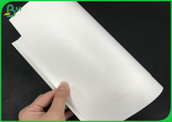 Sterke Waterdichte 245gsm wit PE van kraftpapier + 15g-Film Met een laag bedekt Document voor Koffiedocument Kop