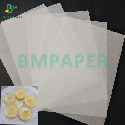 Voedingsmiddel, geurloos, vetvrij, wit, kleurrijk Cupcake Liners papier