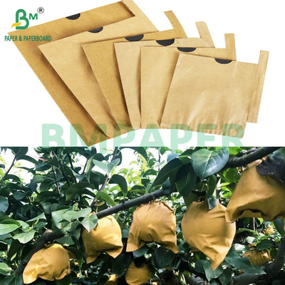 59 gram zonnebrandcrème traanbestendig Fruit Sleeve Paper Bruin Boven Zwart Achterkant