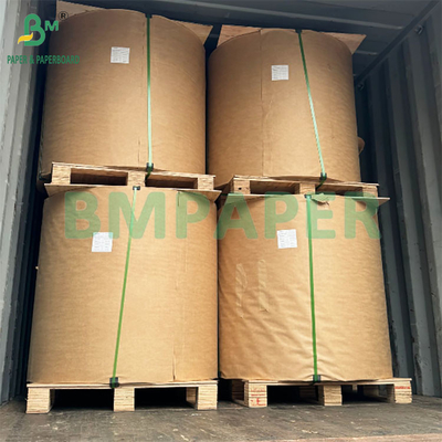 56 gram goedkoop waterbestendig mango zak Kraftpapier voor het beschermen van fruit
