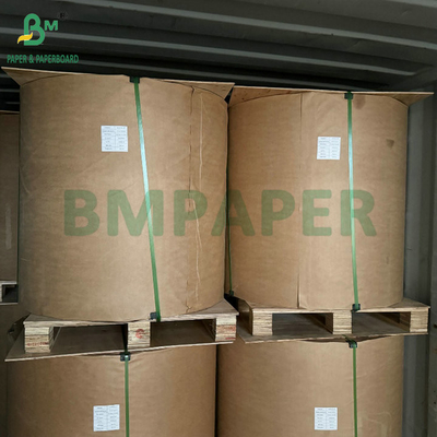 Biologisch afbreekbaar regenbestendig bedekt met was zwart mango Fruit Protection Growing Paper