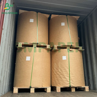Biologisch afbreekbaar regenbestendig bedekt met was zwart mango Fruit Protection Growing Paper