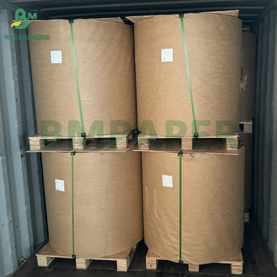 54 g 56 g enkel- of dubbellagig papier voor de bescherming van mango-vruchten