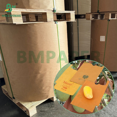 54 g 56 g enkel- of dubbellagig papier voor de bescherming van mango-vruchten