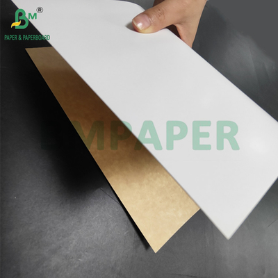 350 gm CKB Wit oppervlak Bruin Kraft Back Paper voor Saladdozen 25' x 38'