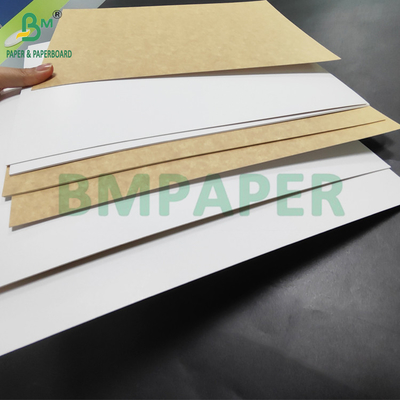 350 gm CKB Wit oppervlak Bruin Kraft Back Paper voor Saladdozen 25' x 38'