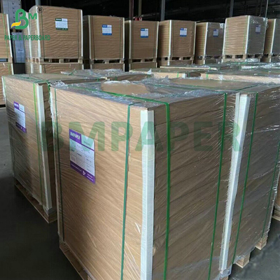 300 gm 350 gm SBS Solid Bleach Sulphate voor het maken van vouwkarton