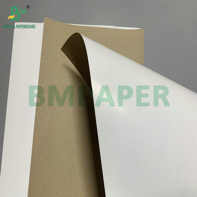 300 gm 350 gm SBS Solid Bleach Sulphate voor het maken van vouwkarton
