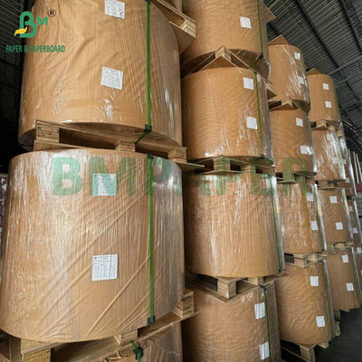 60 g Medisch Blisterpapier voor eenmalige spuit 794 mm 510 mm Roll