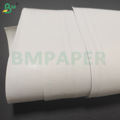 Kassa en thermische bonnen 48 gram 570 mm 800 mm rol