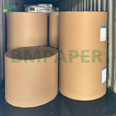Kassa en thermische bonnen 48 gram 570 mm 800 mm rol