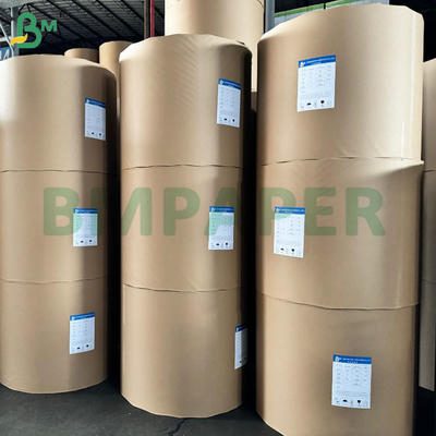 Kassa en thermische bonnen 48 gram 570 mm 800 mm rol