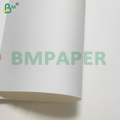 135-350 GSM Double Size PE-gecoat waterdicht papier voor bekers en kom