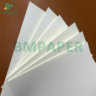 31 inch 35 inch 230 gram 260 gram PE coated cup paper roll voor koffiebekers