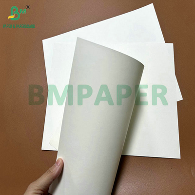 31 inch 35 inch 230 gram 260 gram PE coated cup paper roll voor koffiebekers