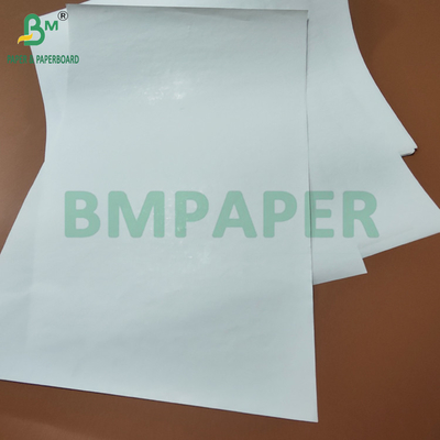 Jumbo Roll High Bulk 65gm 90um Thermal Paper voor logistiek etiket 600mm