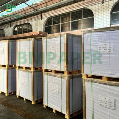 20LB CB Wit CFB Canary CF Roze koolstofvrij papier met zwart beeld 57cm x 87cm