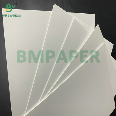 Waterdicht 275gm 325gm PE bedekt vriezer karton voor bevroren garnalen doos