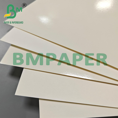 315 gram biologisch afbreekbaar PET Kraftpapier Voedselcontainer voor Lunch Dinner