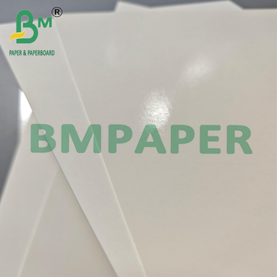315 gram biologisch afbreekbaar PET Kraftpapier Voedselcontainer voor Lunch Dinner