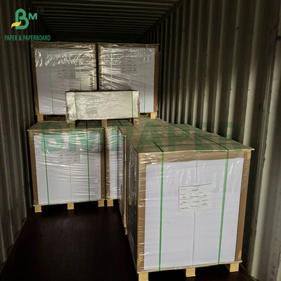 240 gm 260 gm Wit Printbaar Cupp1s Papier voor het maken van bekers 700 mm 800 mm