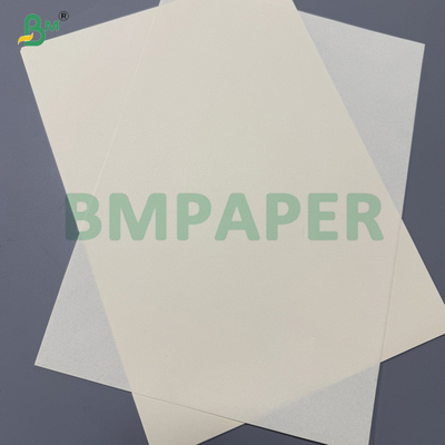 80 gm Zuurvrij ivoorkrem Offest papier voor redactiedruk 70 x 100 cm Ream Pack