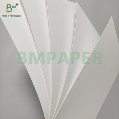 250-400 gm Wit C1S bedekt Blisterpapier voor Blister verpakking