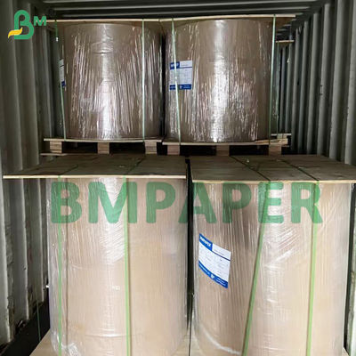 255gsm 275gsm Grease Resistant Cookie Boards French Fries Packaging Carton Board