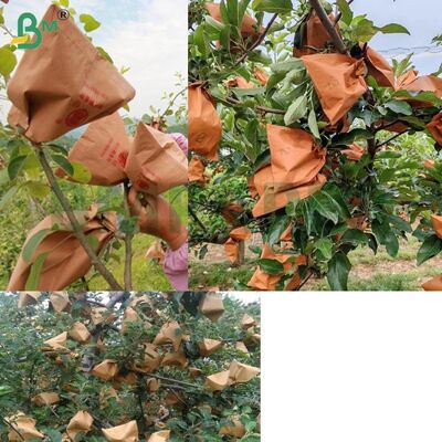 Rood buitenpapier Fruit verpakkingspapier voor het inpakken van appels, 56 gm niet-gewassen appelsakpapier