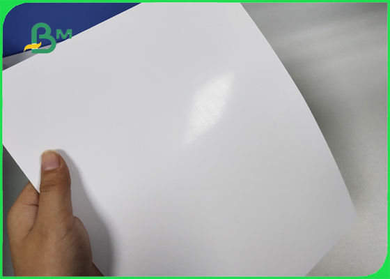 FSC C2S het Document van de KUNSTkaart/Couche-Document 300GSM in Riemen 23 * 35 voor Affiche