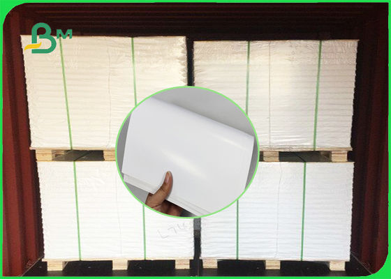 FSC C2S het Document van de KUNSTkaart/Couche-Document 300GSM in Riemen 23 * 35 voor Affiche