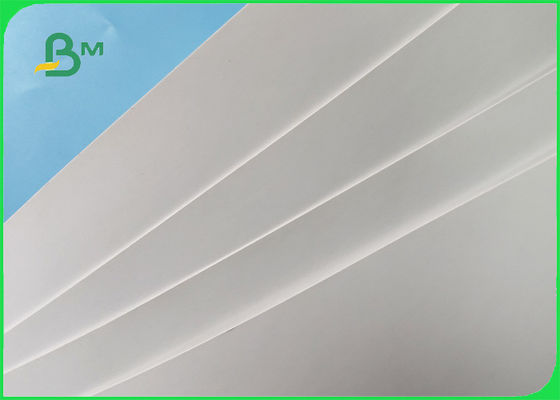 FSC C2S het Document van de KUNSTkaart/Couche-Document 300GSM in Riemen 23 * 35 voor Affiche