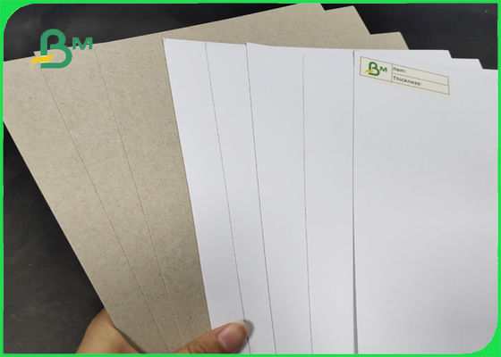 200 / 230gr C1S met Grijze Achterrangaa Breedte 1250mm met Verklaard SGS & FSC