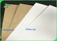 Maagdelijke Pulp300gsm 365gsm Witte Hoogste Kraftpapier Voering voor Verpakkingsvoedsel