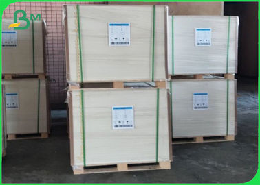 Volledig hernieuwbaar PE-coating Cupstock papier Polyethyleen gecoat 210g+10g