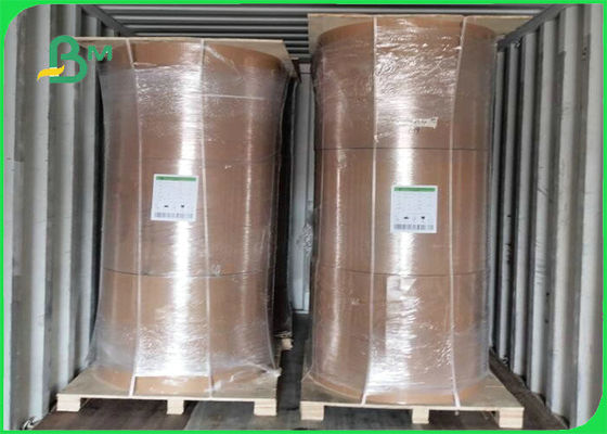 Biologisch afbreekbaar PE van 300gsm + 15g-de Raad van Filmkraftpapier voor Voedsel Verpakking