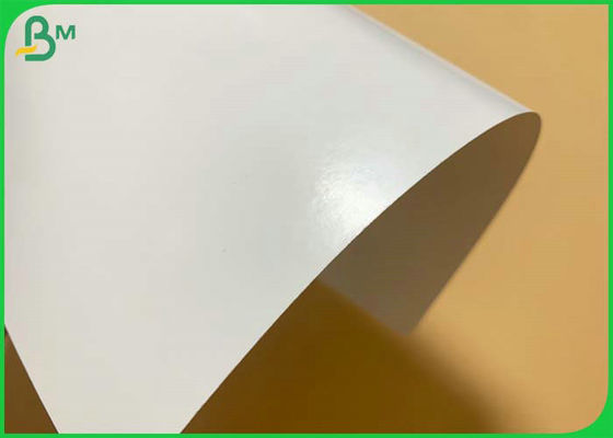 210 g 300 g PE-gecoat papier wit karton voor het maken van pizza doos oliebestendig