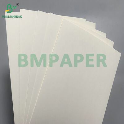 Biologisch afbreekbaar en microgolfveilig karton voor het maken van wegwerpbakken voor salade