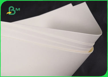 Biologisch afbreekbaar de Basisdocument van 190gsm 210gsm Cupstock voor Voedselkom 720MM 860MM