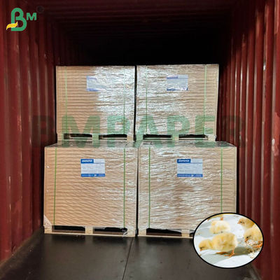 Wit kuiken opfokpapier kippenpapier voor pluimveehouderij 66cm 100cm