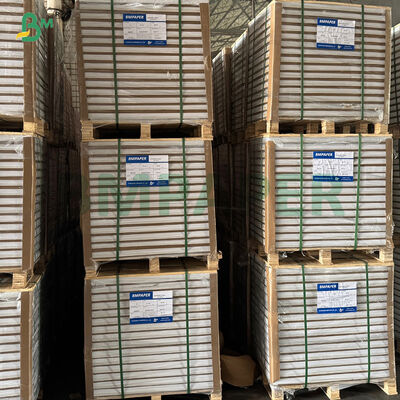 Vetvrij Wit Koffie Geel Groen Cupcake Liner Muffin Papier Voor Bakken