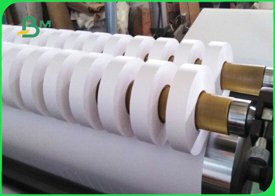 Kleur Aangepast FSC Verklaard Strodocument voor het Drinken van Dranken 60gsm 120gsm